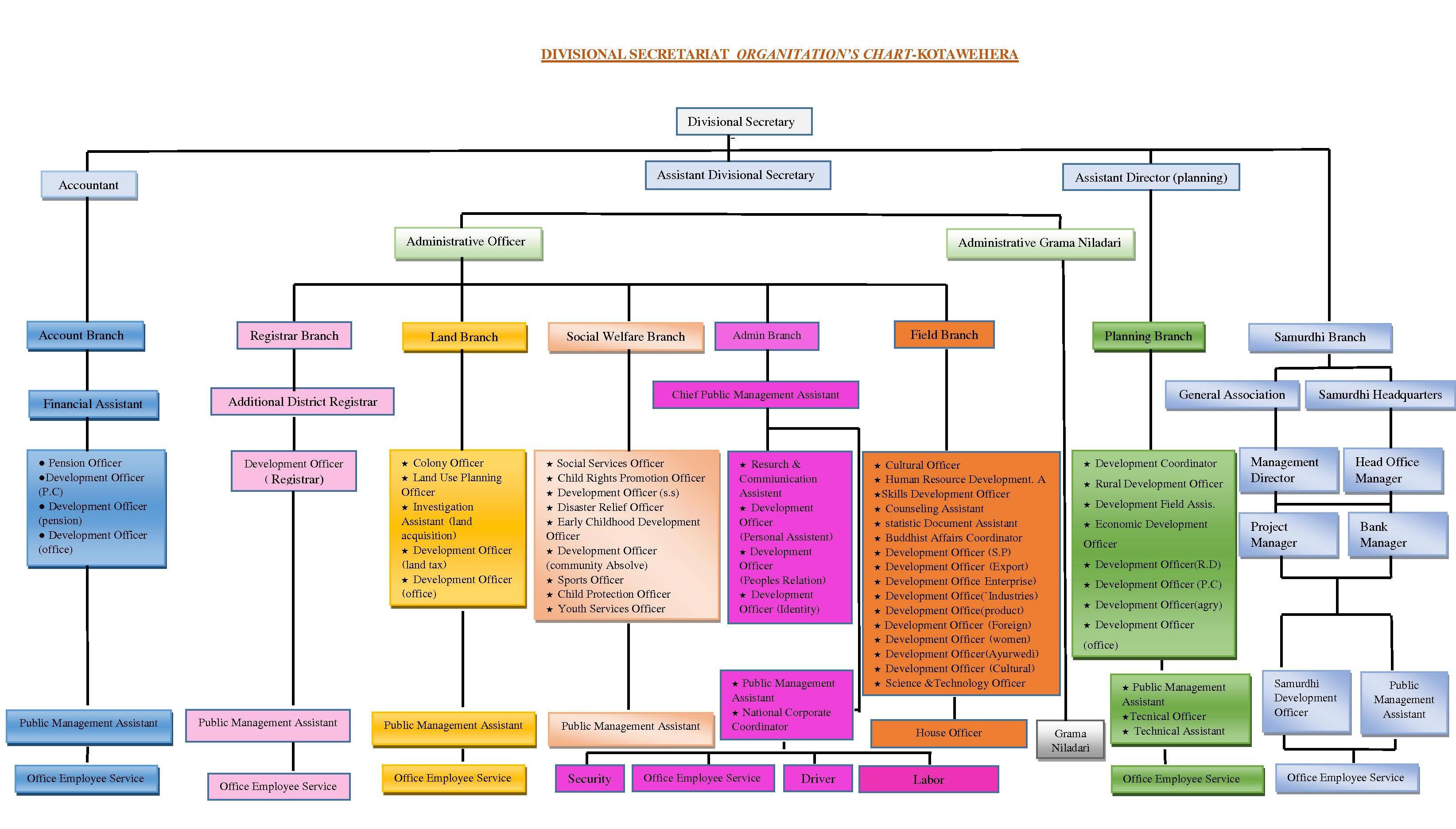 organitation chart english pdf.pdf.01